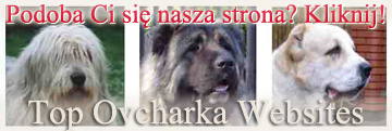 Top Ovcharka Websites